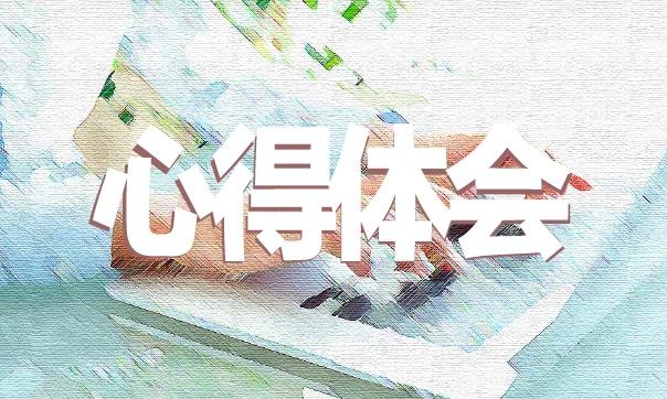 實習心得周記會計沒有出去實習大全