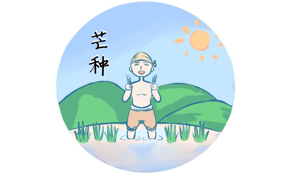 24節氣芒種的由來和習俗