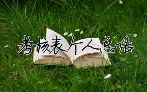 考核表個人總結 30篇