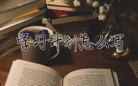 學(xué)習(xí)計劃怎么寫？學(xué)習(xí)計劃范文模板優(yōu)選13篇
