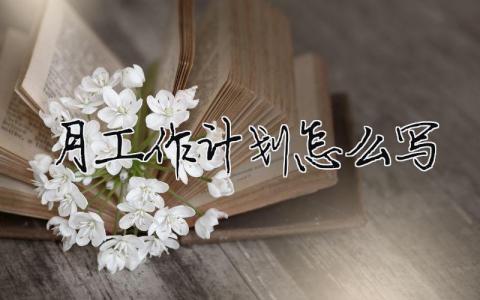 月工作計(jì)劃怎么寫范文大全 13篇