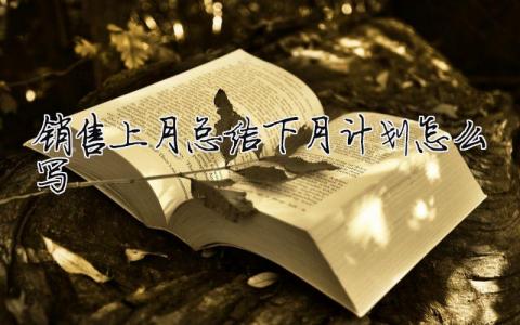 銷售上月總結下月計劃怎么寫 精選14篇
