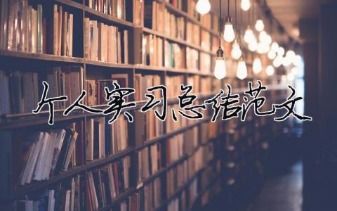 個人實習總結范文（精選合集19篇）