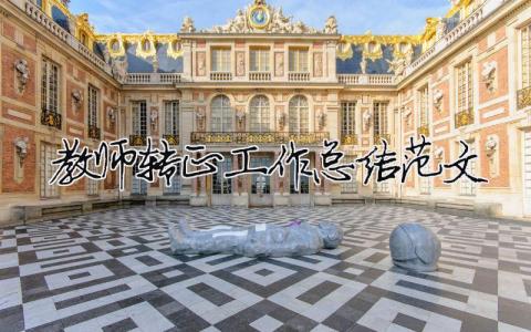 教師轉(zhuǎn)正工作總結(jié)范文（精選合集10篇）