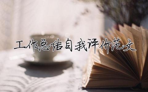 工作總結自我評價范文（精選合集6篇）