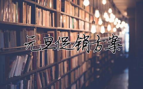 元旦促銷(xiāo)方案（精選合集10篇）