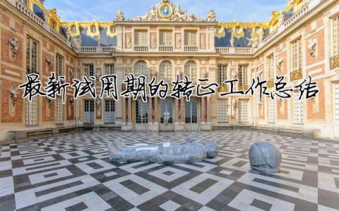 最新試用期的轉正工作總結（精選合集12篇）