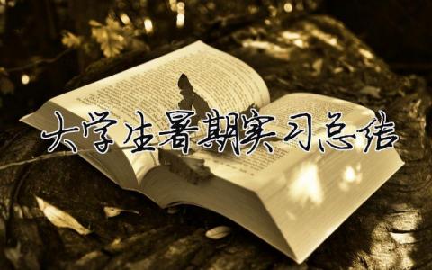 大學生暑期實習總結 大學生暑期實習總結（精選合集12篇）
