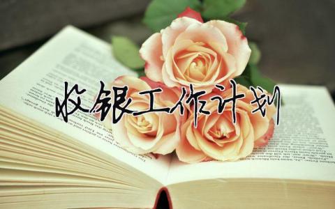 收銀工作計(jì)劃 收銀工作計(jì)劃怎么寫范文（精選合集15篇）