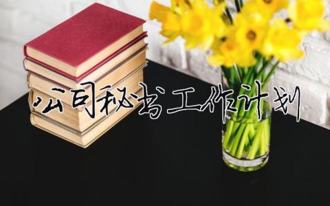 公司秘書工作計劃 公司秘書工作計劃（精選合集13篇）