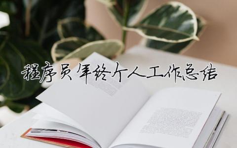 程序員年終個人工作總結 程序員年終個人工作總結怎么寫（精選合集11篇）