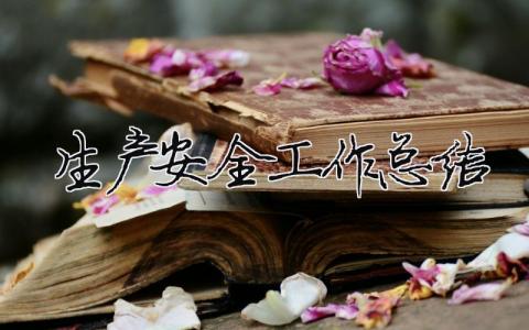 生產(chǎn)安全工作總結(jié) 生產(chǎn)安全工作總結(jié)簡短（精選合集19篇）