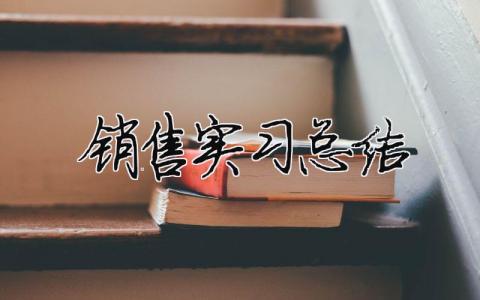 銷售實習總結 銷售實習報告（精選合集7篇）