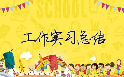 工作實(shí)習(xí)總結(jié) 實(shí)習(xí)期工作總結(jié)（精選合集19篇）