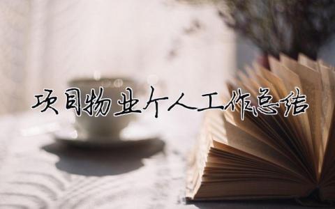 項目物業個人工作總結 項目物業個人工作總結范文（精選合集8篇）