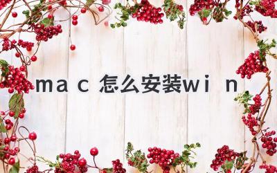 mac怎么安裝win