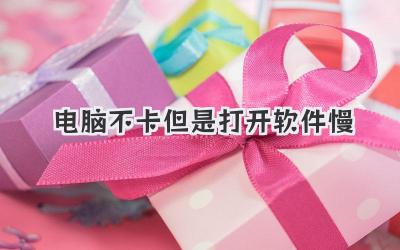 電腦不卡但是打開軟件慢