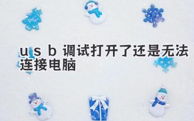 usb調試打開了還是無法連接電腦