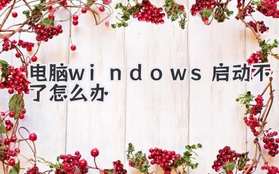 電腦windows啟動不了怎么辦