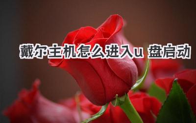戴爾主機怎么進入u盤啟動