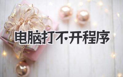 電腦打不開程序