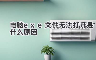 電腦exe文件無(wú)法打開(kāi)是什么原因