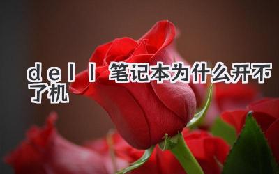 dell筆記本為什么開不了機