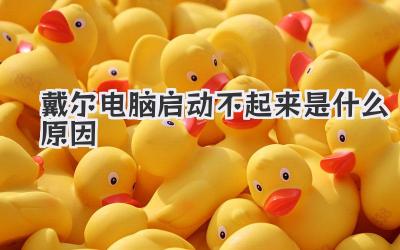 戴爾電腦啟動不起來是什么原因