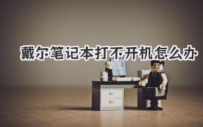 戴爾筆記本打不開機(jī)怎么辦