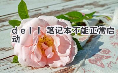 dell筆記本不能正常啟動(dòng)