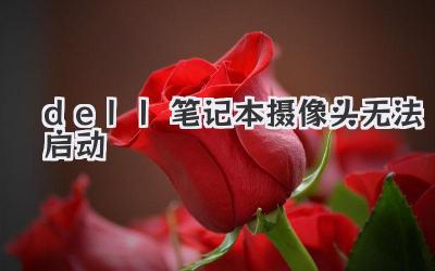 dell筆記本攝像頭無法啟動
