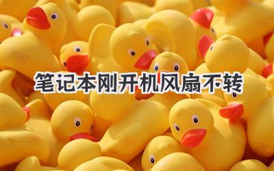 筆記本剛開機風(fēng)扇不轉(zhuǎn)