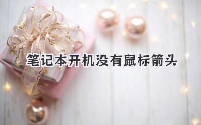 筆記本開(kāi)機(jī)沒(méi)有鼠標(biāo)箭頭