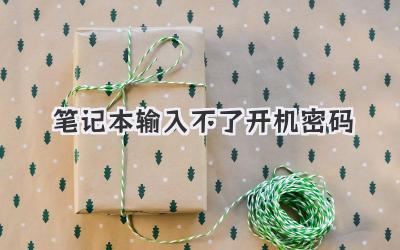 筆記本輸入不了開機密碼