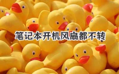 筆記本開(kāi)機(jī)風(fēng)扇都不轉(zhuǎn)