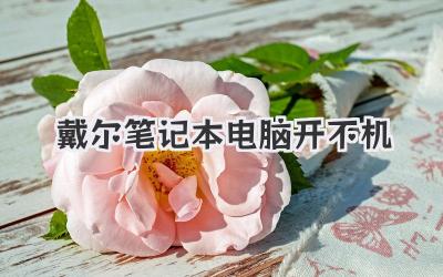 戴爾筆記本電腦開不機