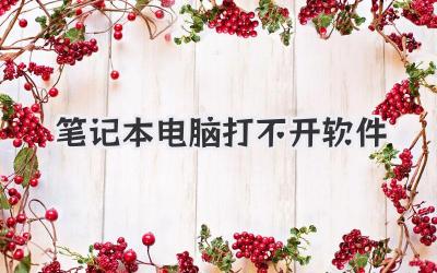 筆記本電腦打不開軟件