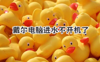 戴爾電腦進水不開機了