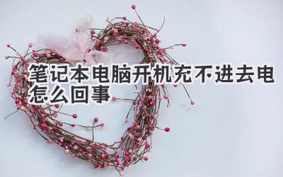 筆記本電腦開機(jī)充不進(jìn)去電怎么回事